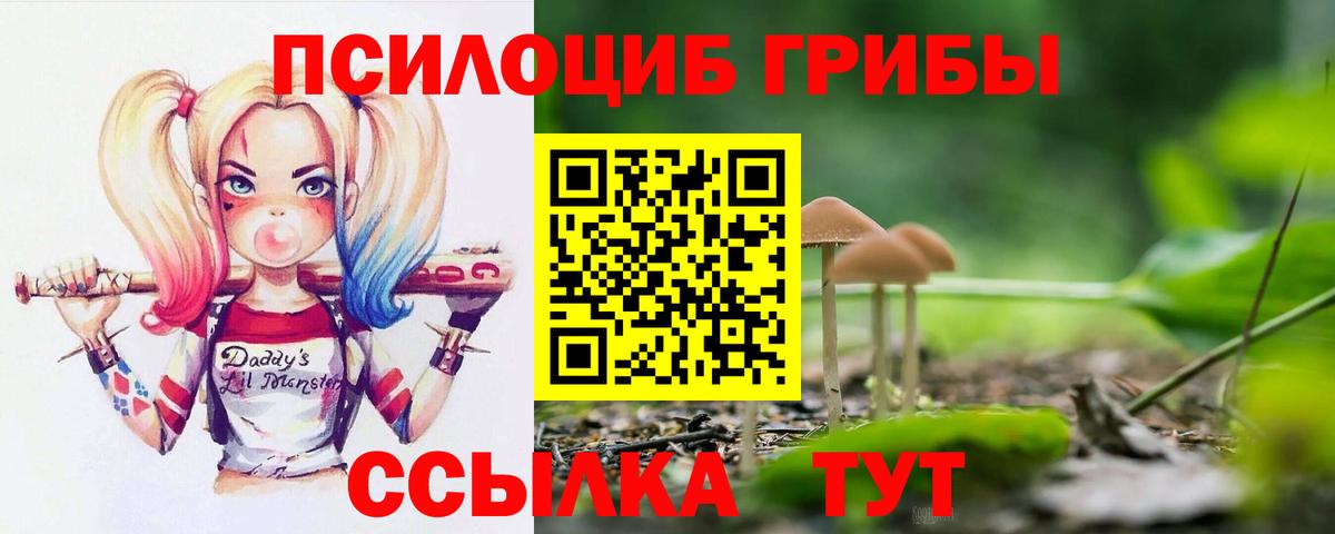 Галлюциногенные грибы Magic Shrooms Кисловодск